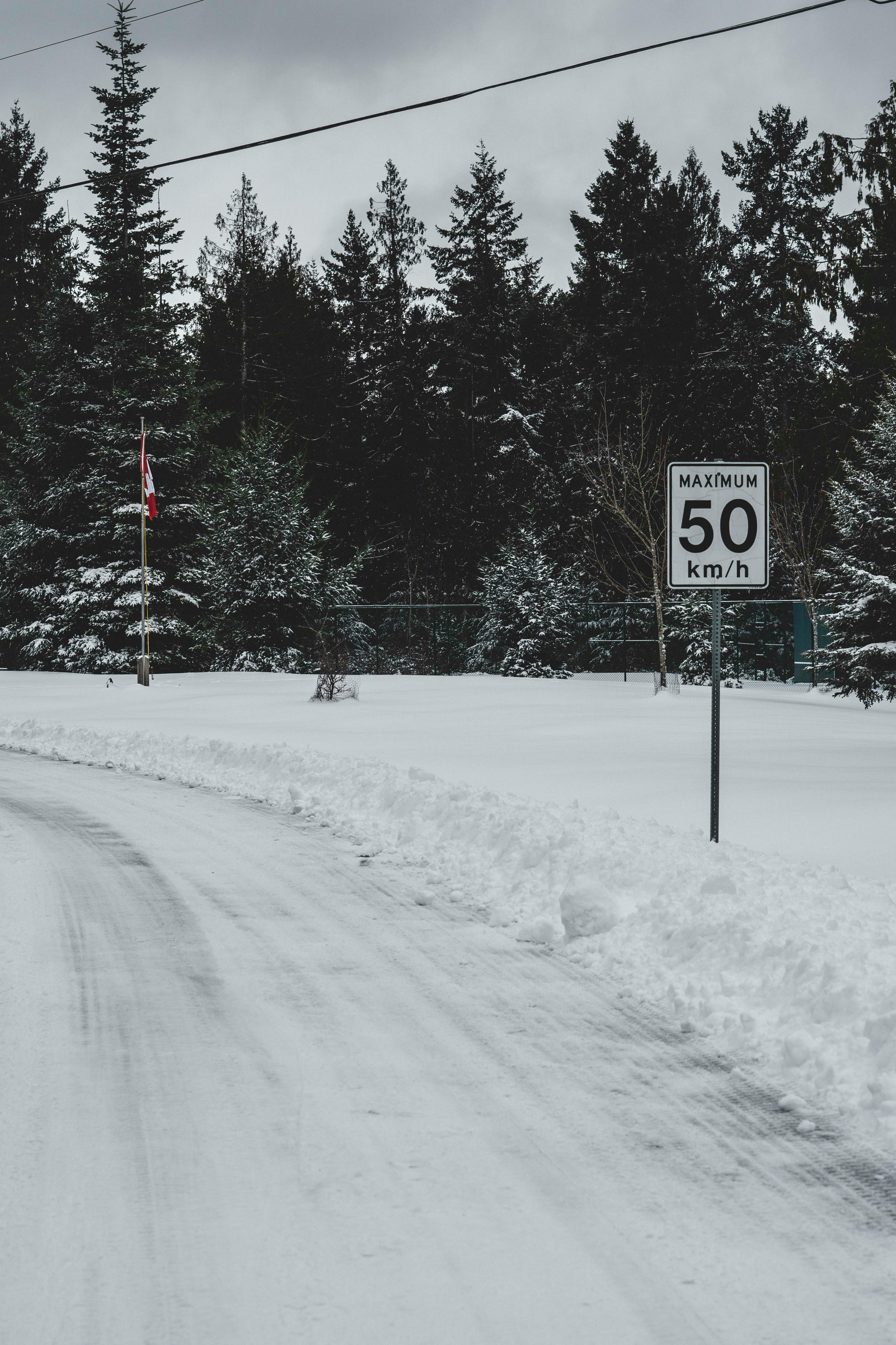 black and white stop sign on snow covered ground